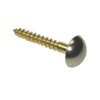 MIRROR SCREWS BRASS CHROME TOP