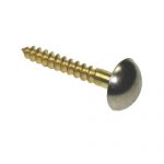 MIRROR SCREWS BRASS CHROME TOP